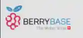 Berrybase Gutscheincodes 